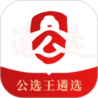 公选王