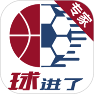 球进了