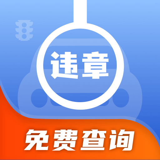 违章处罚查询 v1.0.0 安卓版