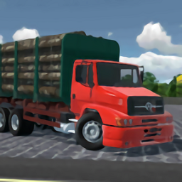 巴西卡车2