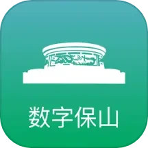 数字保山