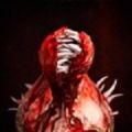 mimicry 1.1.3 安卓版