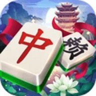 红中癞子麻将