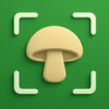 识菇 1.0.7 安卓版