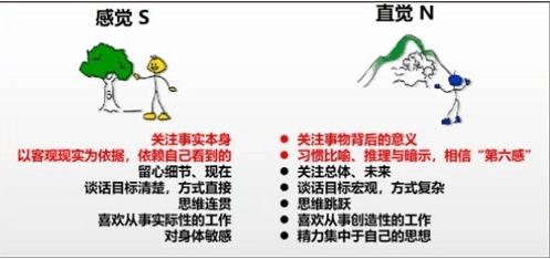 mbti专业版