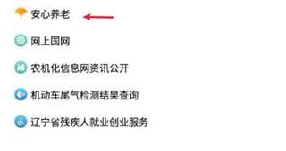 辽宁政务服务网
