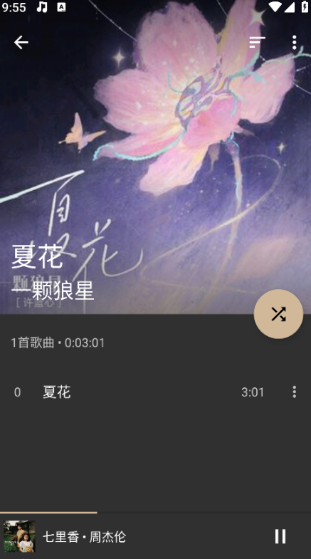 Shuttle-播放音乐