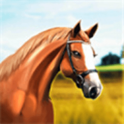 德比生活 1.9.34 安卓版