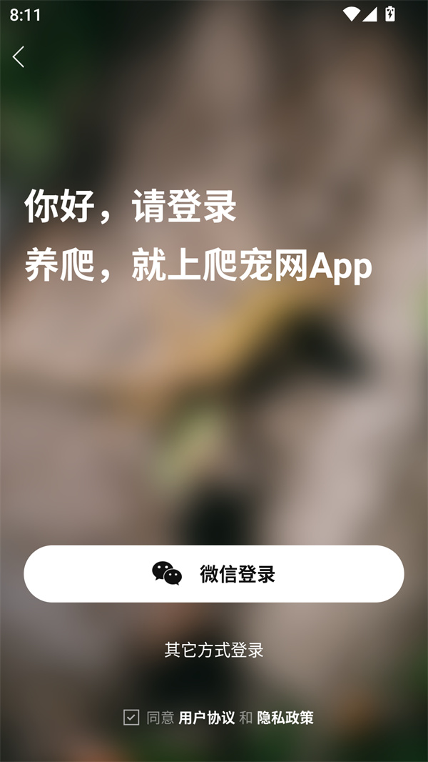 爬宠网