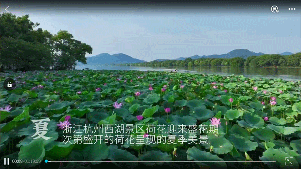 如何看直播回放配图3