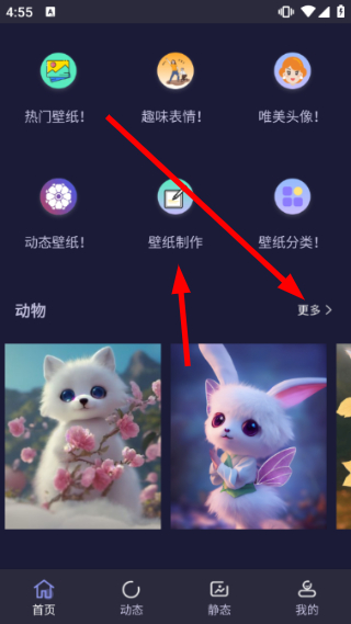 次元动态壁纸怎么下载壁纸图片配图1