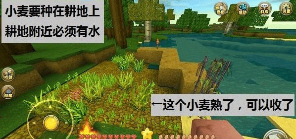 迷你世界测试服2025