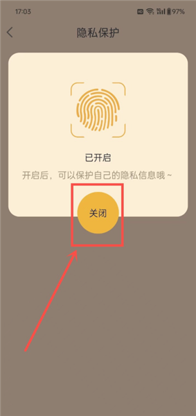 怎么关闭隐私保护配图3