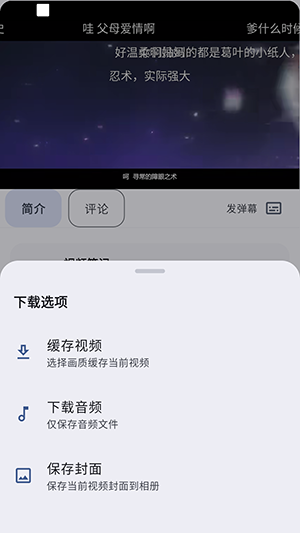B站第三方BiliPai截图