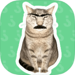 新疆的猫语音盒 1.04 安卓版