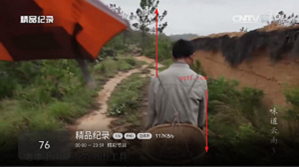 小飞电视