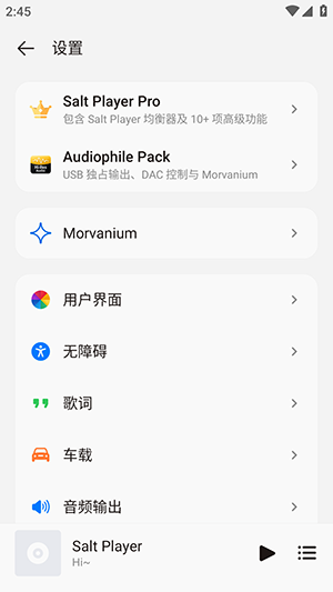 Salt Player安卓版截图