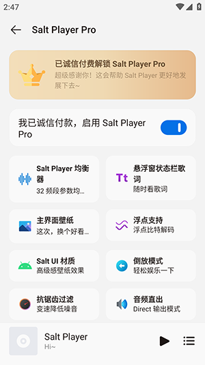 Salt Player安卓版截图