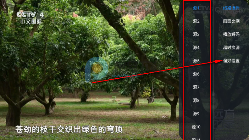 网视TV电视版 网视TV电视版