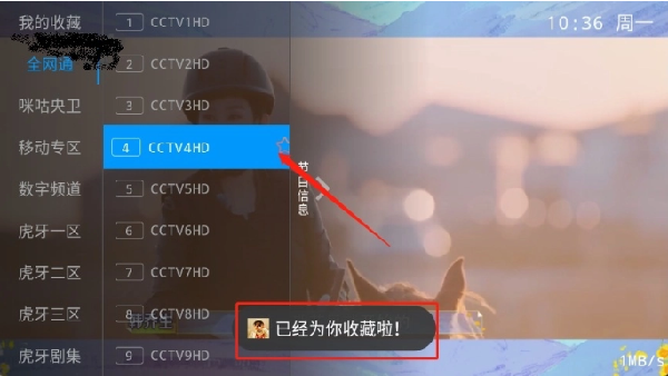 飞扬直播