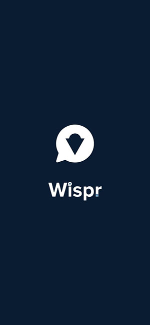 Wispr截图