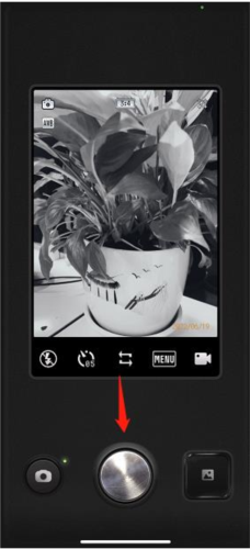 proccd软件截图8
