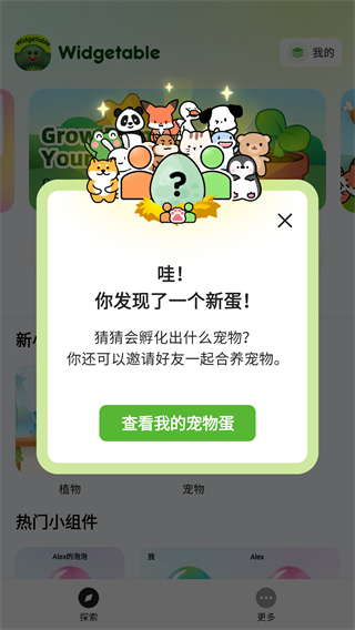 Widgetable怎么设置中文配图1