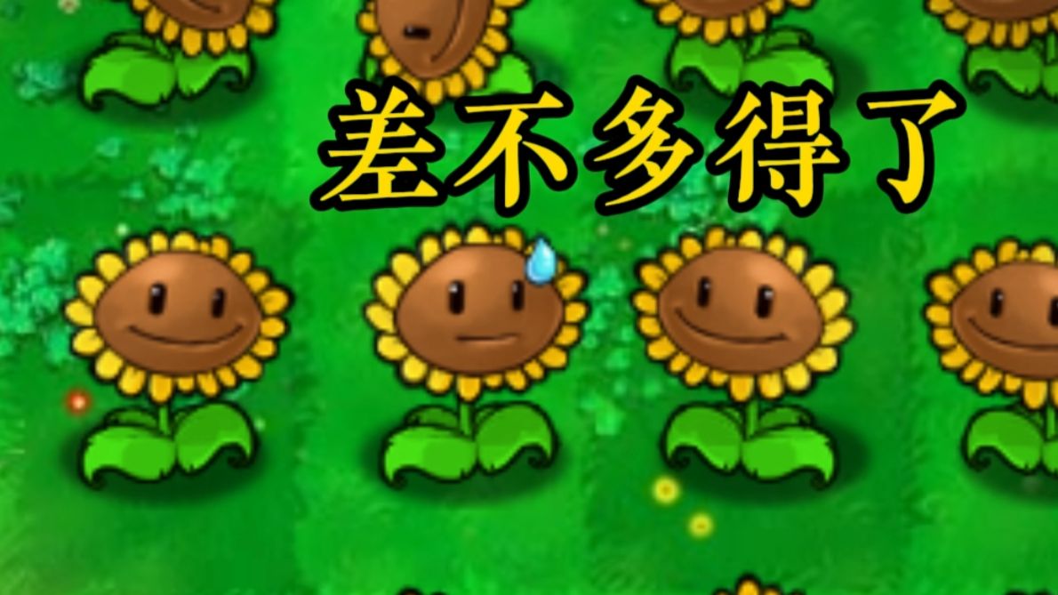 植物大战僵尸招笑版