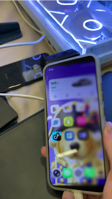 Duo Fold截图