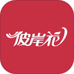 彼岸花官