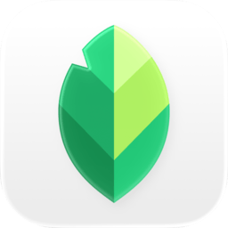 Snapseed指尖修图 4.1.7.979861527 手机版
