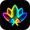 宝莲灯Pro