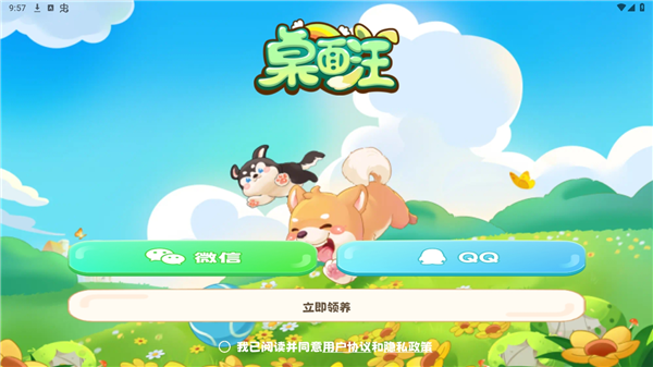 桌面汪使用教程配图1