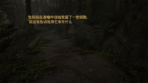 艾迪芬奇的记忆安卓汉化版