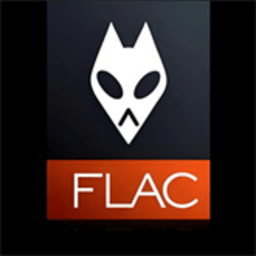 FLAC音乐播放器 1.3 安卓版