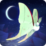 彩翼之星夜无限荧光币版