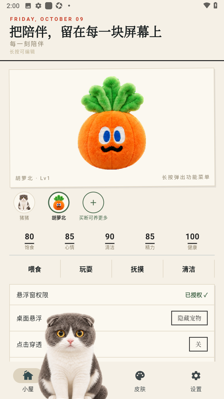 Mochi桌宠截图