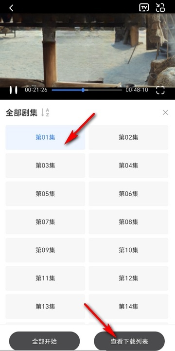 咸鱼视频