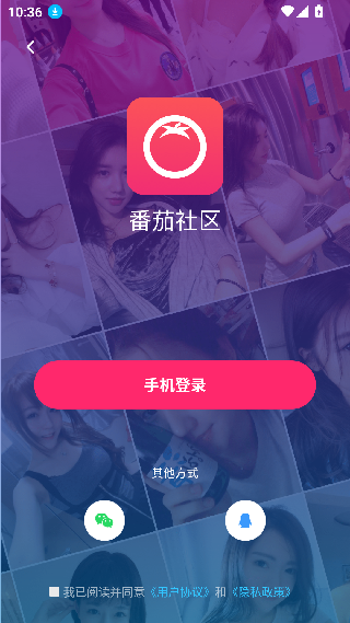 番茄社区