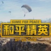 和平精英美化包 1.2.1 安卓版