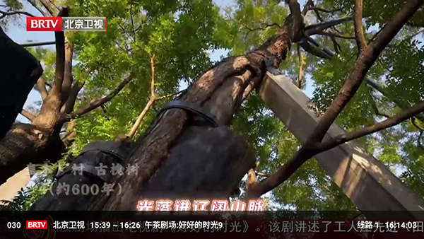 万汇视界截图