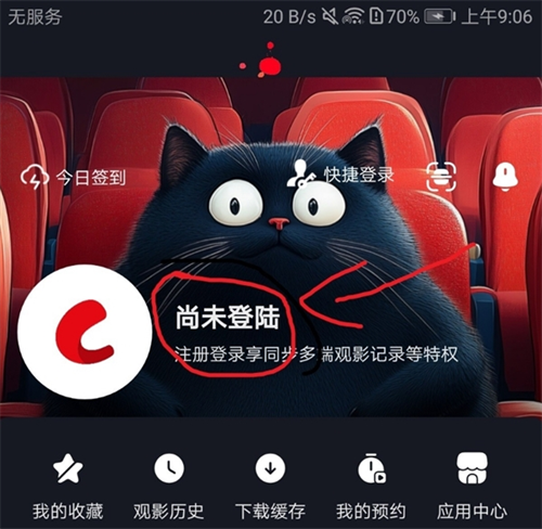 网飞猫