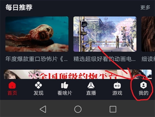 网飞猫