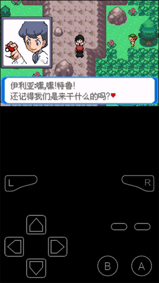 口袋妖怪决心