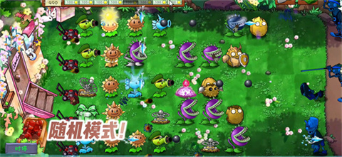 PVZ共生版