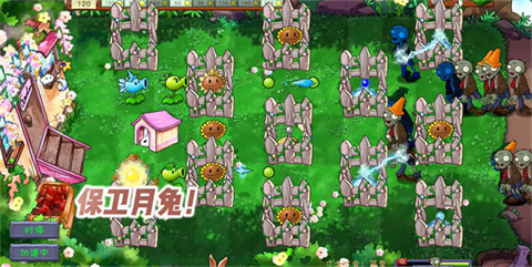 PVZ共生版