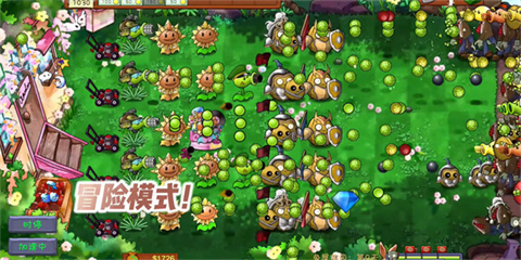 PVZ共生版