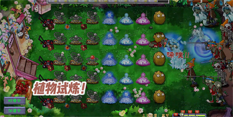 PVZ共生版