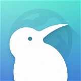 KiwiBrowser浏览器 139.0.7339.0 最新版