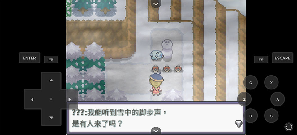 宝可梦Z